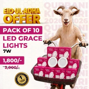 LED Grace Lights pack of 10