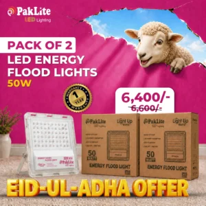 Pack of 2 LED Energy Flood Lights 50w