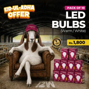 Pack of 10 LED Bulbs 12W