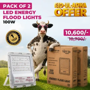 Pack of 2 LED Energy Flood Light 100 watt
