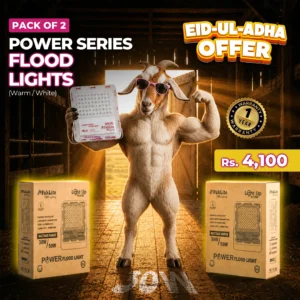 Pack of 2 Power Flood Light 30 and 50w