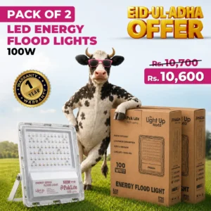 Pack of 2 LED Energy Flood Lights 100w