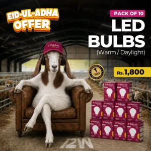 Pack of 10 LED Bulbs 12W