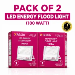 Pack of 2 LED Energy Flood Lights 100w (1)