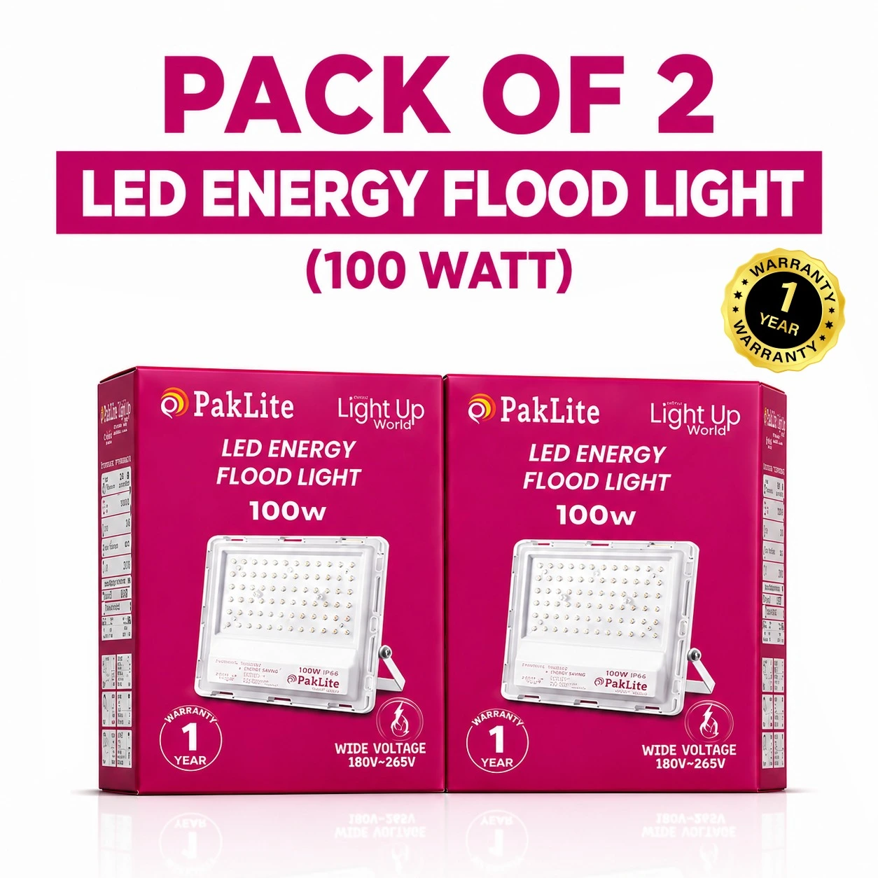 Pack of 2 LED Energy Flood Lights 100w (1)