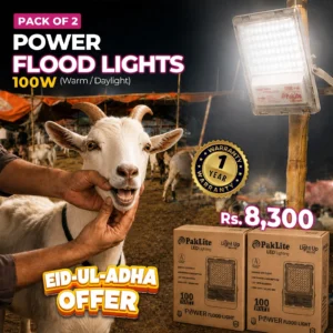 Pack of 2 Power Flood Light 100 w