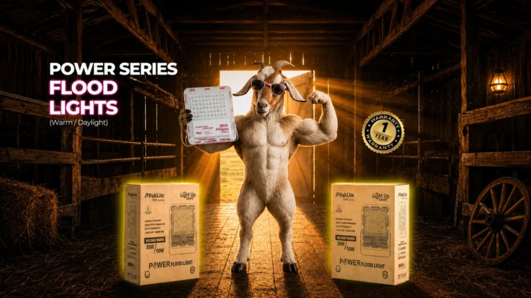 Best Flood Lights for Eid ul Adha Cattle Markets
